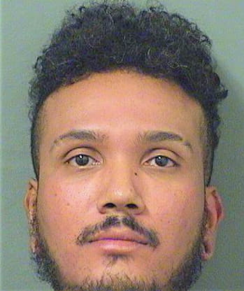 Moreno Bryan - PalmBeach County, FL 