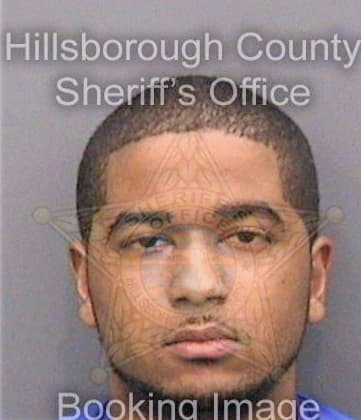 Smith Tyrone - Hillsborough County, FL 