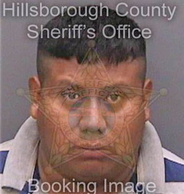 Velasquez Elias - Hillsborough County, FL 