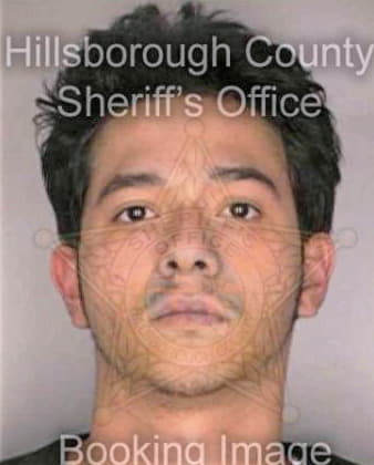 Figueroa Reinaldo - Hillsborough County, FL 