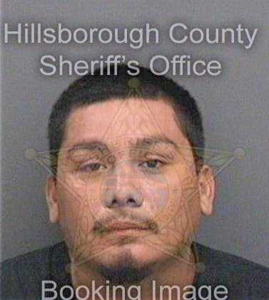 Garcia Pedro - Hillsborough County, FL 