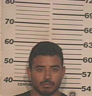 Alarcon Sergio - Hidalgo County, TX 