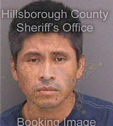 Vazquezmorales Cesar - Hillsborough County, FL 