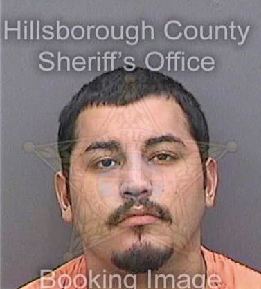 Medina Jesus - Hillsborough County, FL 