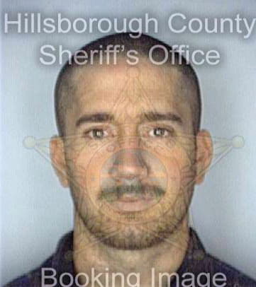 Bowmer Robert - Hillsborough County, FL 