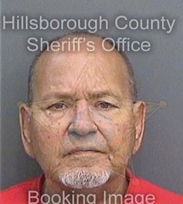 Diaz Manuel - Hillsborough County, FL 