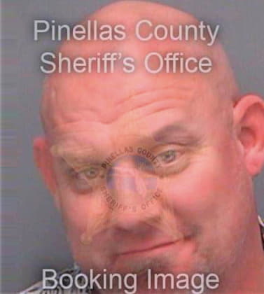 Dinkins Dennis - Pinellas County, FL 