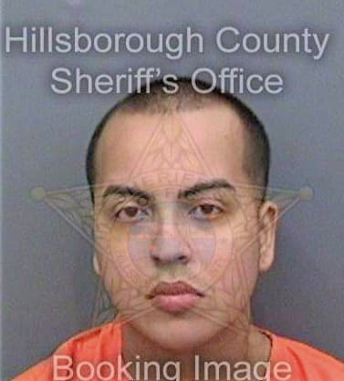 Torres Joshua - Hillsborough County, FL 