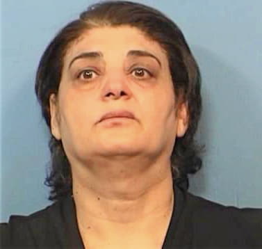 Odeh Najah - DuPage County, IL 
