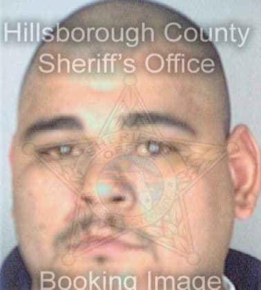 Bocanegra Telefaro - Hillsborough County, FL 