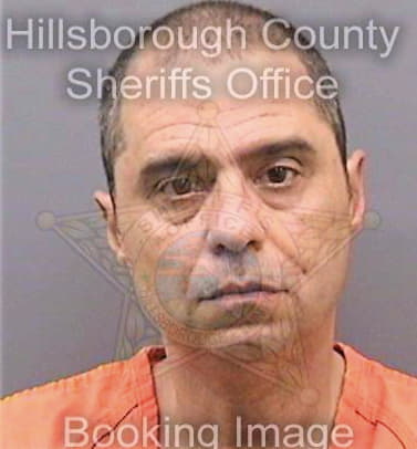 Gonzalez David - Hillsborough County, FL 