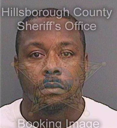 Sneed Randall - Hillsborough County, FL 