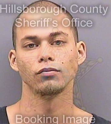 Salvador Aaron - Hillsborough County, FL 