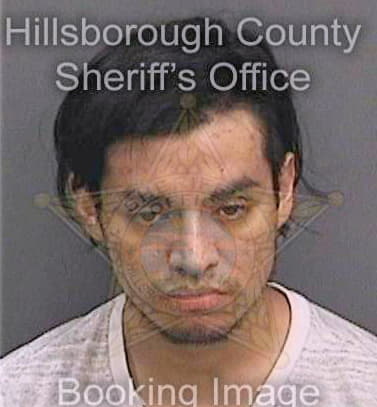 Collazocastro Adam - Hillsborough County, FL 