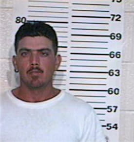 Garza Hector - Hidalgo County, TX 