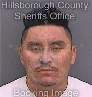 Perezgomez Manuel - Hillsborough County, FL 