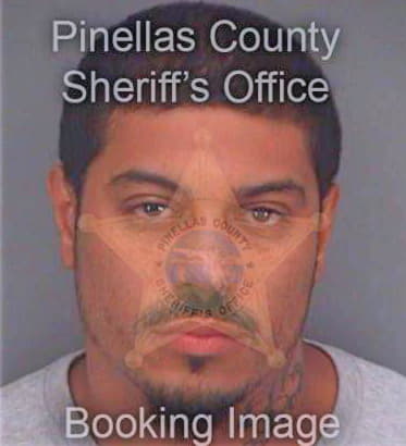 Rios John - Pinellas County, FL 