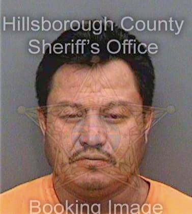 Espinozasoto Jose - Hillsborough County, FL 