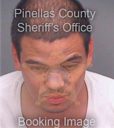 Ortizjimenez Jose - Pinellas County, FL 