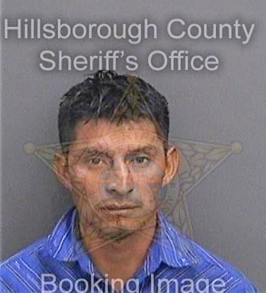 Luisjuan Andreas - Hillsborough County, FL 