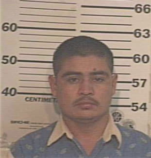 Gomez Armando - Hidalgo County, TX 