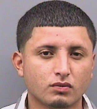 Zuniga Julio - Hillsborough County, FL 