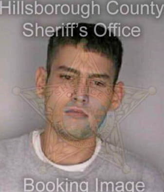 Matson Tore - Hillsborough County, FL 