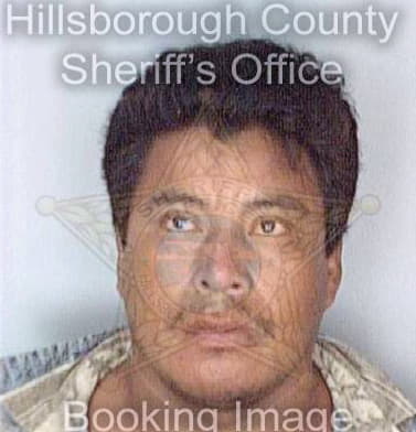 Diaz Francisco - Hillsborough County, FL 