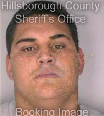 Dick Luis - Hillsborough County, FL 