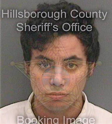 Patin Daniel - Hillsborough County, FL 