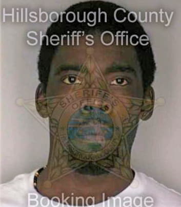 Johnson Idris - Hillsborough County, FL 