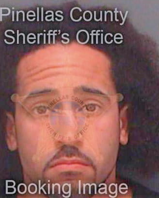 Morales Martin - Pinellas County, FL 