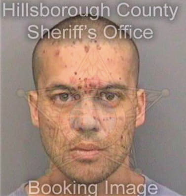 Boyer David - Hillsborough County, FL 