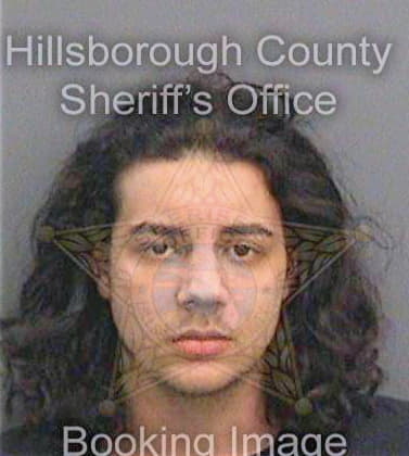 Brunner Preston - Hillsborough County, FL 