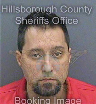 Mcglothlin Christopher - Hillsborough County, FL 
