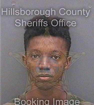 Ward Christopher - Hillsborough County, FL 