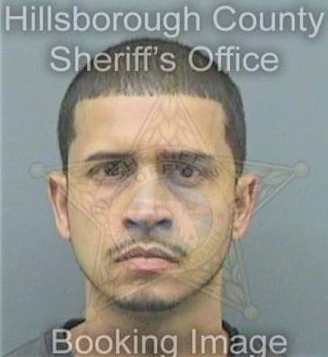 Perez Raymond - Hillsborough County, FL 