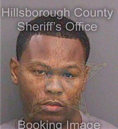 Bostick Monty - Hillsborough County, FL 