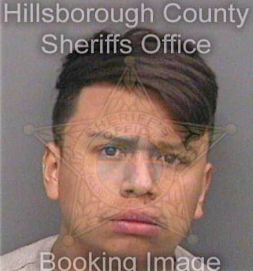 Espinoza Bartomiano - Hillsborough County, FL 