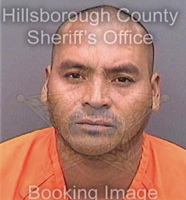Mejia Marbel - Hillsborough County, FL 