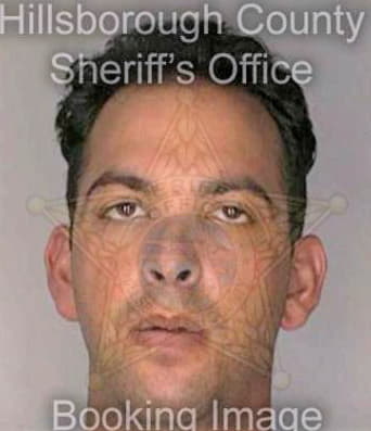 Mcdaniel Shane - Hillsborough County, FL 