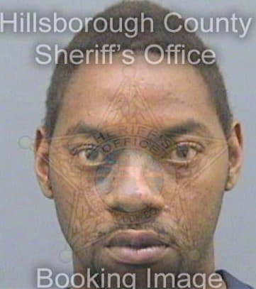 Nelson Jeffrey - Hillsborough County, FL 