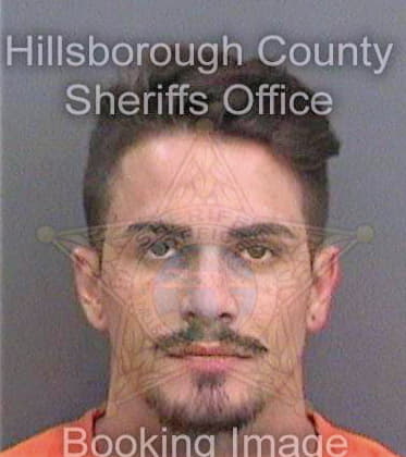 Gordon Austin - Hillsborough County, FL 