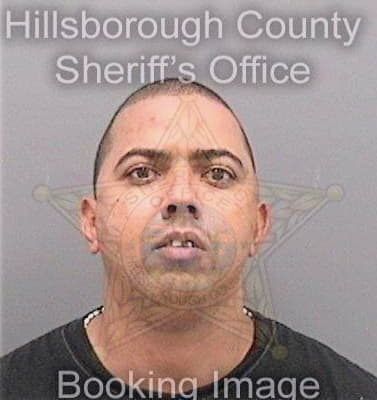 Fernandez Jose - Hillsborough County, FL 