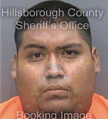 Mendoza Ricardo - Hillsborough County, FL 