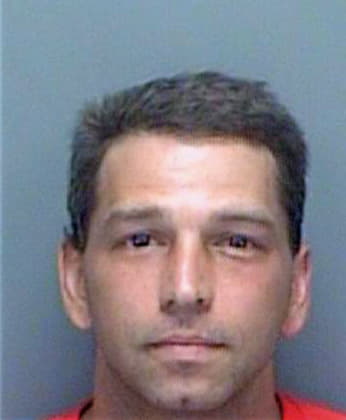 Klingensmith James - Pinellas County, FL 