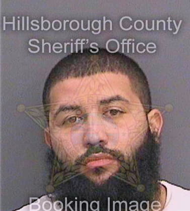 Lozada Anthony - Hillsborough County, FL 