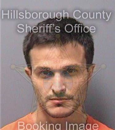 Elamin Ali - Hillsborough County, FL 