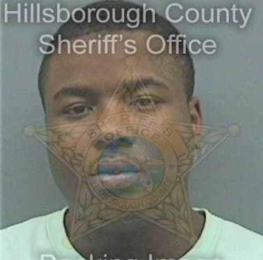 Norton Curtis - Hillsborough County, FL 