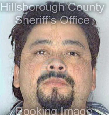 Mejia Sergio - Hillsborough County, FL 